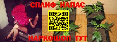 СК Можайск