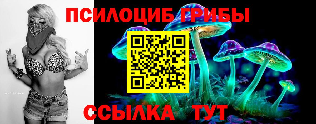 Псилоцибиновые грибы Cubensis  Вход с VPN  Горно-Алтайск  Псилоцибиновые грибы мухоморы 